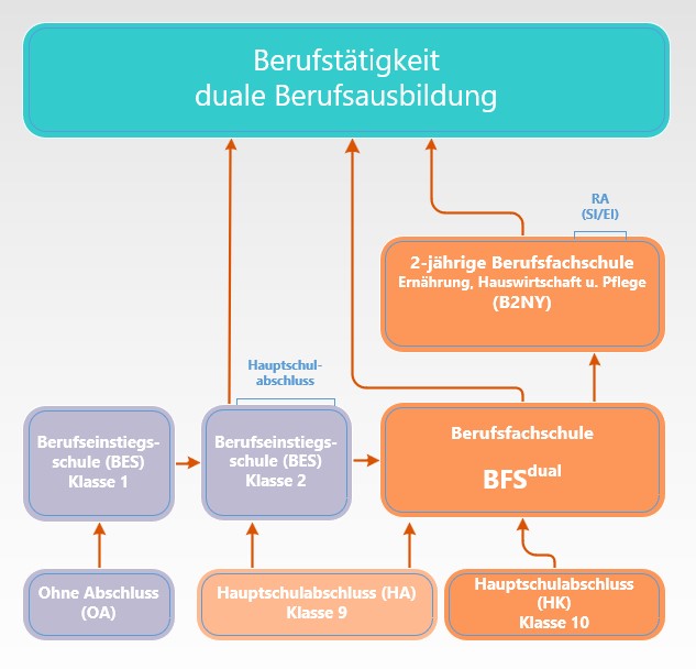 BFS dual Bildungswege kurz